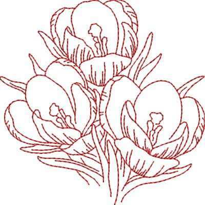 FP161 Thumbnail